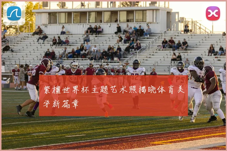 紫檀世界杯主题艺术照揭晓体育美学新篇章