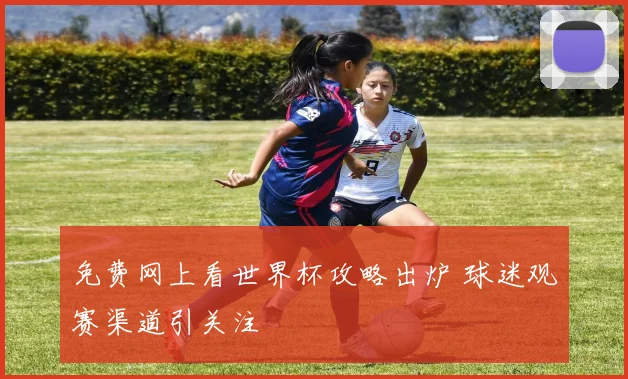 免费网上看世界杯攻略出炉 球迷观赛渠道引关注