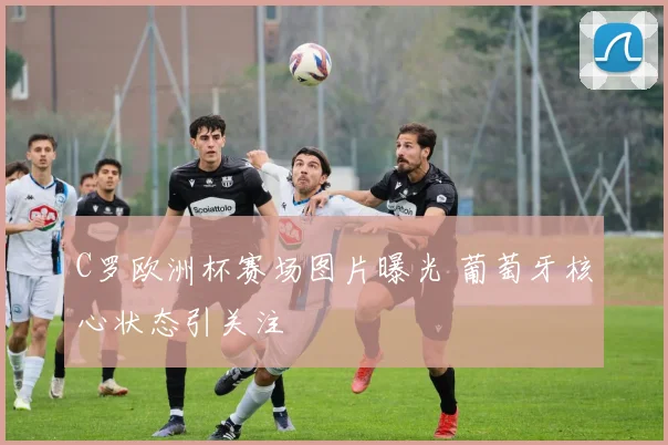 C罗欧洲杯赛场图片曝光 葡萄牙核心状态引关注