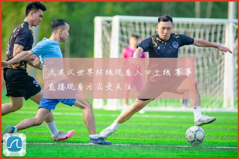 流浪汉世界杯线观看入口上线 赛事直播观看方式受关注